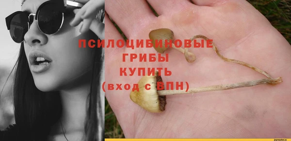 круглые Бородино