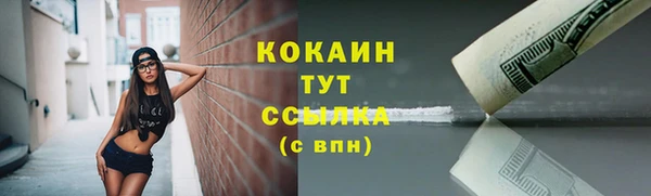 круглые Бородино