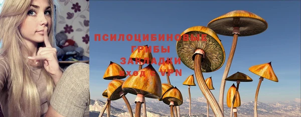 герыч Бугульма